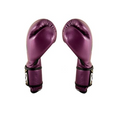 Load image into Gallery viewer, Boxing gloves near me Cleto Reyes Boxing Gloves W/Velcro Purple