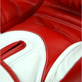 Load image into Gallery viewer, Twins BGVL11 Long-Cuff Boxing Gloves