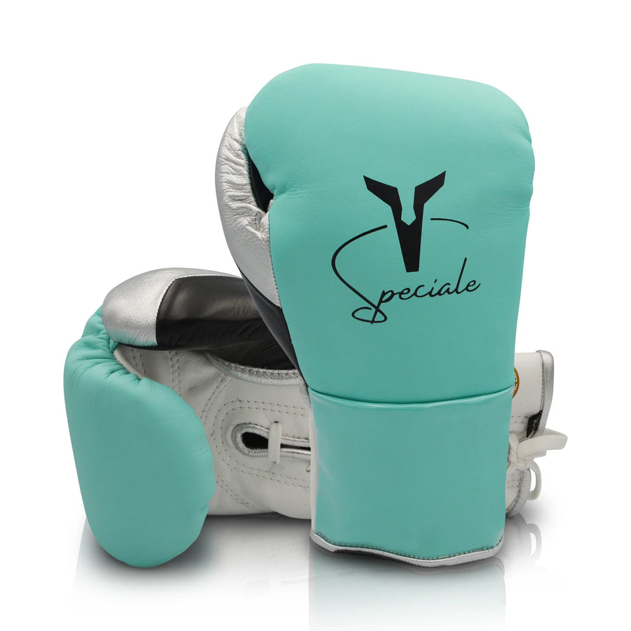 Ares Boxing Gloves Speciale Boxing Glove FFN Training Sparring Gloves