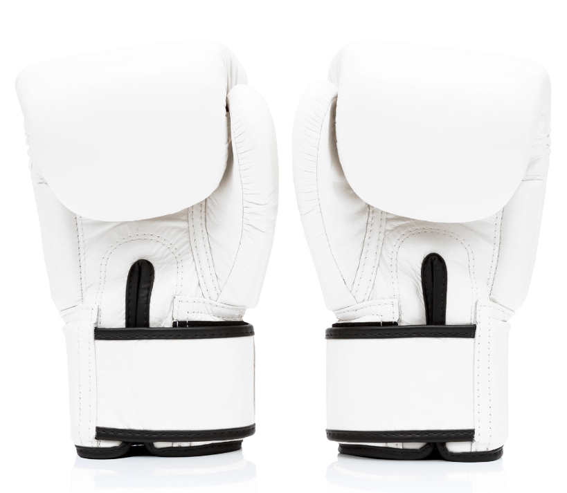 Fairtex Boxing Gloves BGV1 Universal Training Sparring Gloves Men