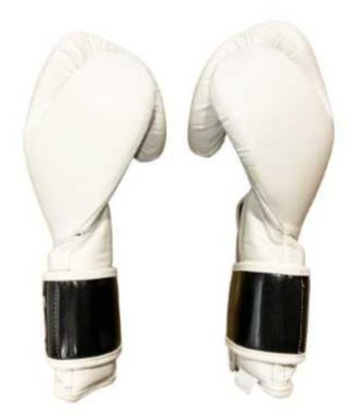 Boxing gloves near me Cleto Reyes Boxing Gloves W/Velcro White