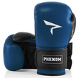 Load image into Gallery viewer, Buy Phenom FG-10S Training Gloves Blue/Black
