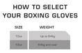 Load image into Gallery viewer, Sting AIBA Boxing Gloves
