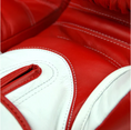 Load image into Gallery viewer, Twins BGVL11 Long-Cuff Boxing Gloves
