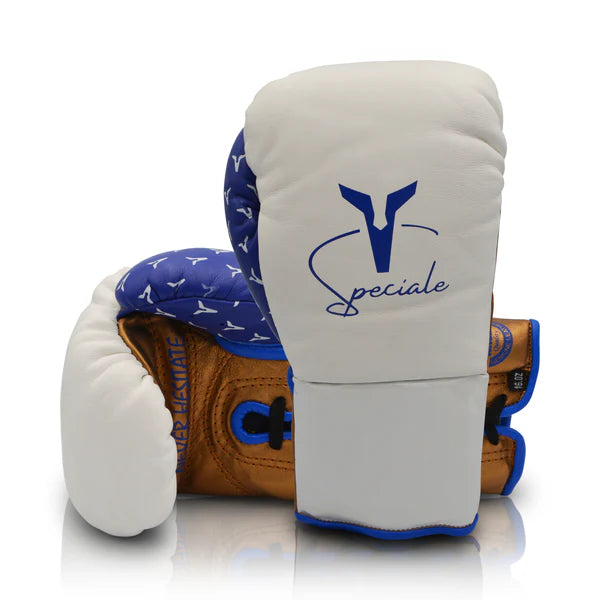 Ares Boxing Gloves Speciale Boxing Glove Horsehair Training Sparring Gloves