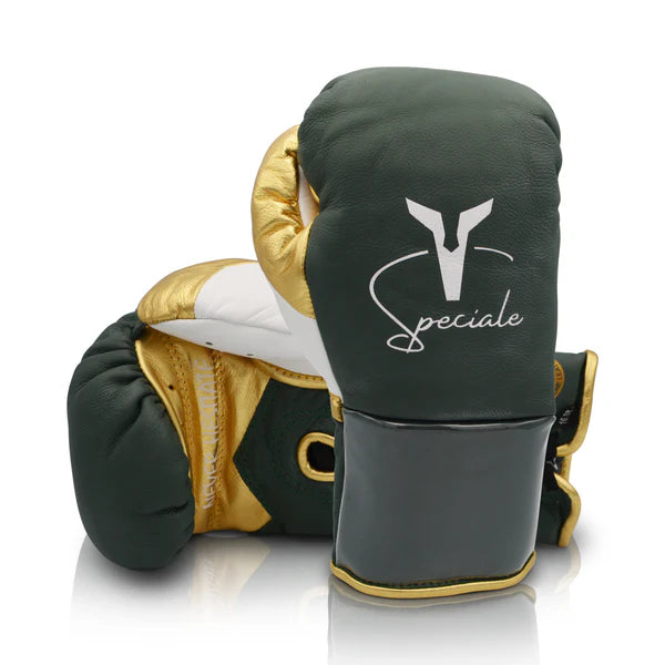 Ares Boxing Gloves Speciale Boxing Glove Horsehair Training Sparring Gloves
